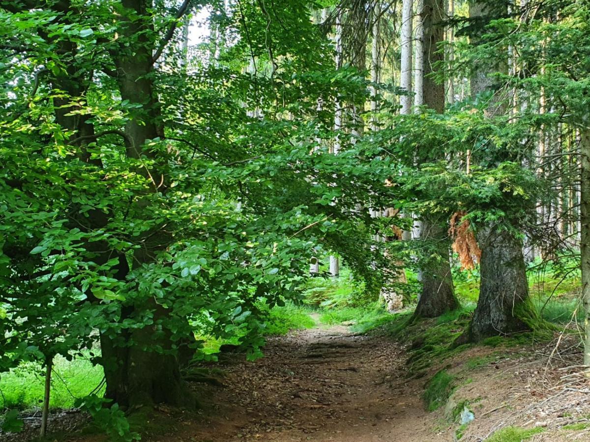 Odenwald-Lodge Mit Infrarotsauna Und E-Ladestation Im Naturpark Odenwald "Haus Himmelblau" Reichelsheim Ngoại thất bức ảnh