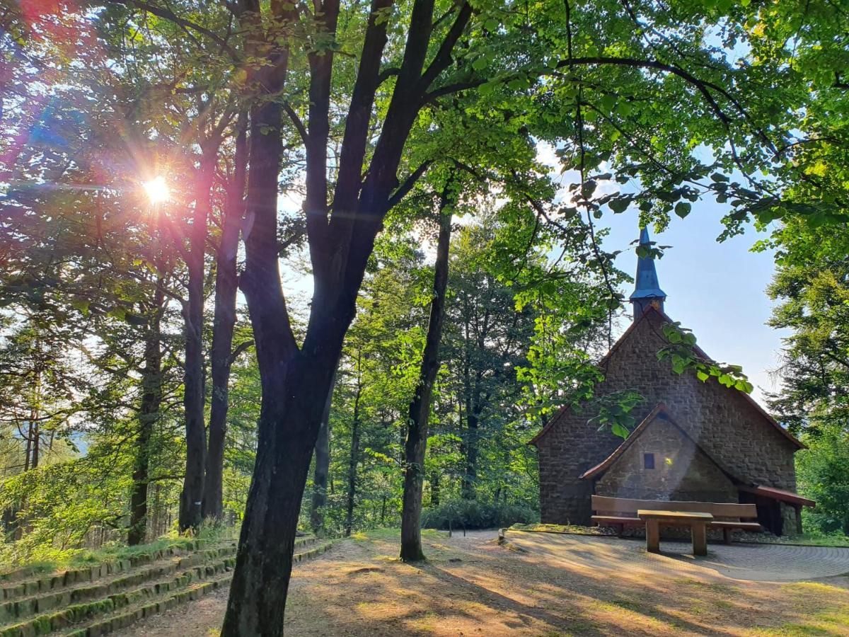 Odenwald-Lodge Mit Infrarotsauna Und E-Ladestation Im Naturpark Odenwald "Haus Himmelblau" Reichelsheim Ngoại thất bức ảnh