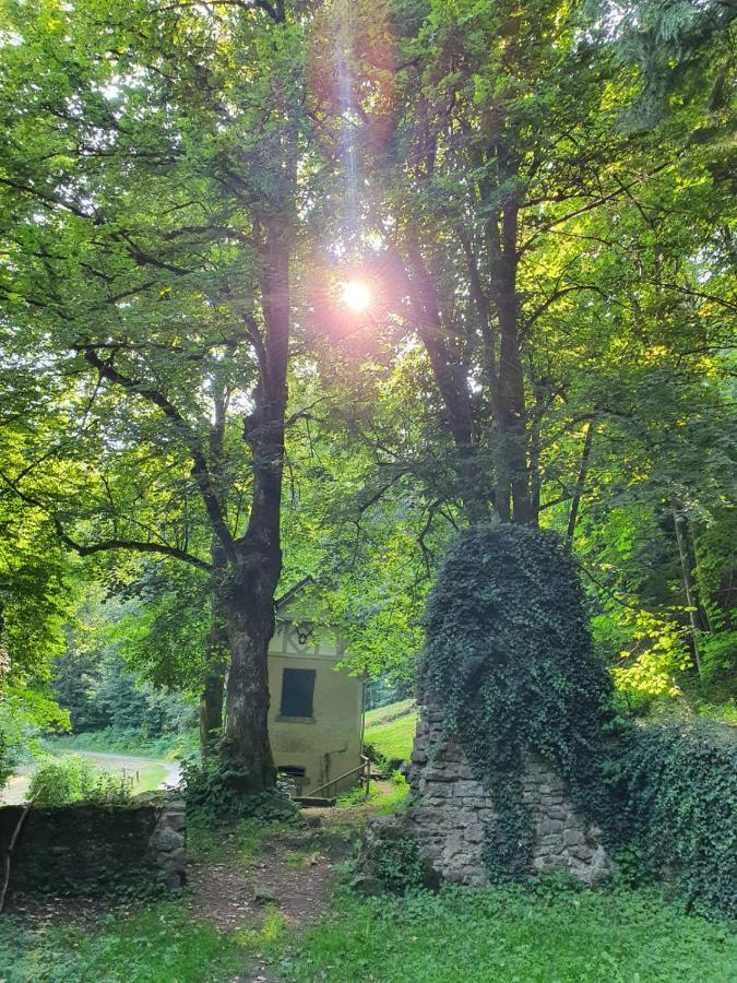 Odenwald-Lodge Mit Infrarotsauna Und E-Ladestation Im Naturpark Odenwald "Haus Himmelblau" Reichelsheim Ngoại thất bức ảnh