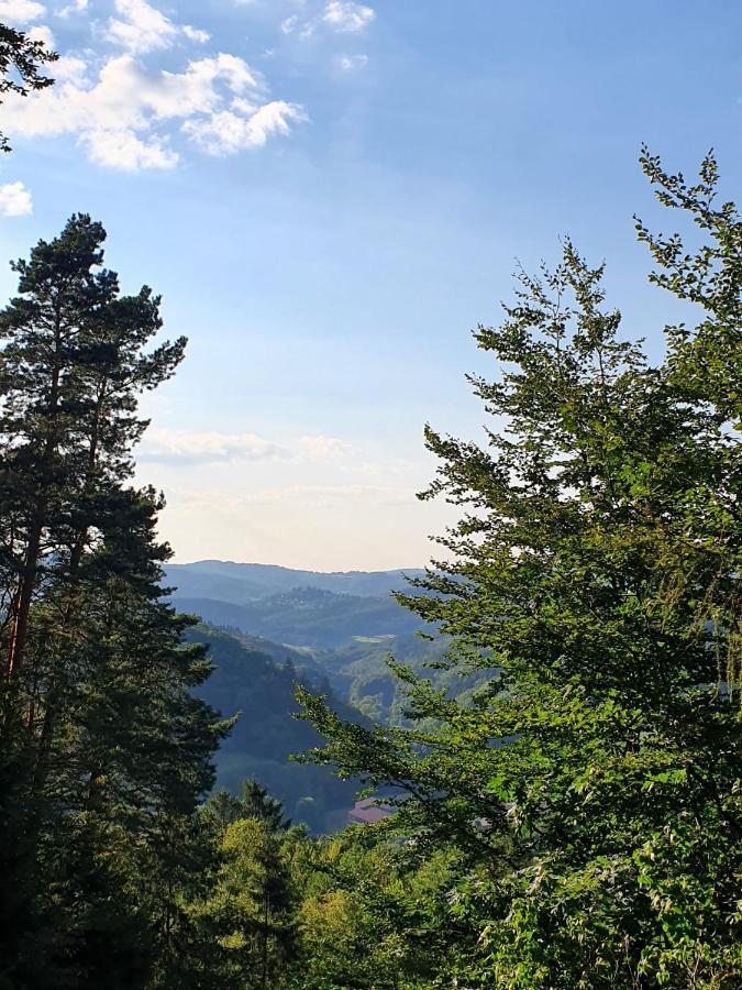 Odenwald-Lodge Mit Infrarotsauna Und E-Ladestation Im Naturpark Odenwald "Haus Himmelblau" Reichelsheim Ngoại thất bức ảnh