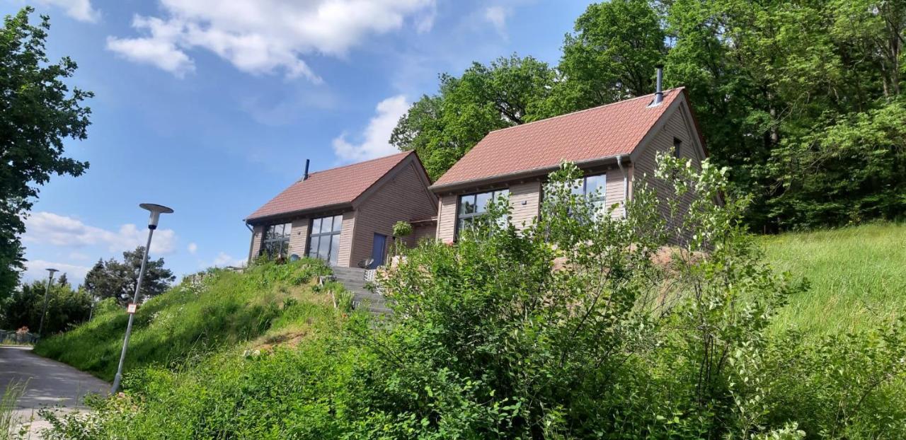 Odenwald-Lodge Mit Infrarotsauna Und E-Ladestation Im Naturpark Odenwald "Haus Himmelblau" Reichelsheim Ngoại thất bức ảnh
