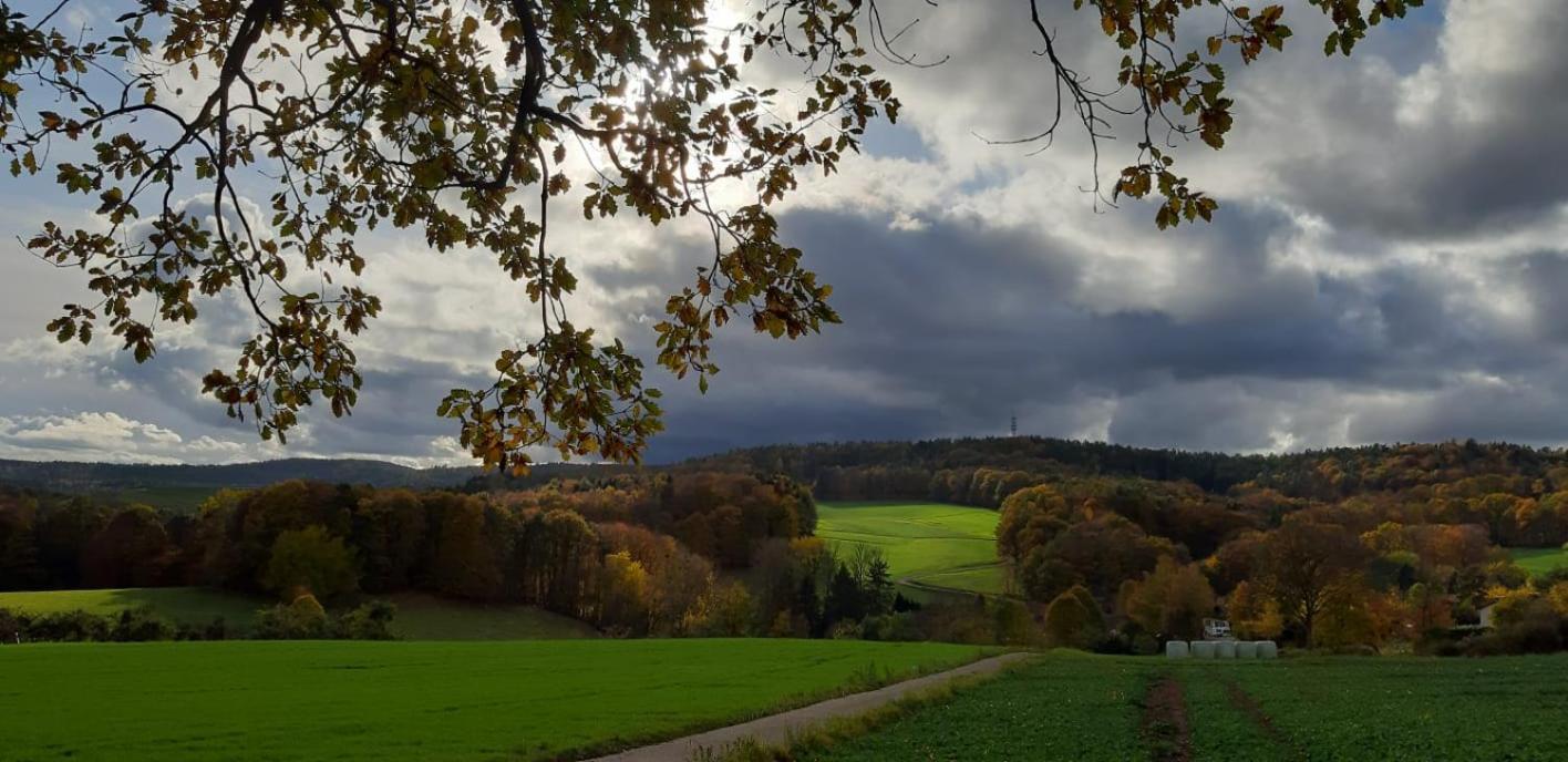 Odenwald-Lodge Mit Infrarotsauna Und E-Ladestation Im Naturpark Odenwald "Haus Himmelblau" Reichelsheim Ngoại thất bức ảnh