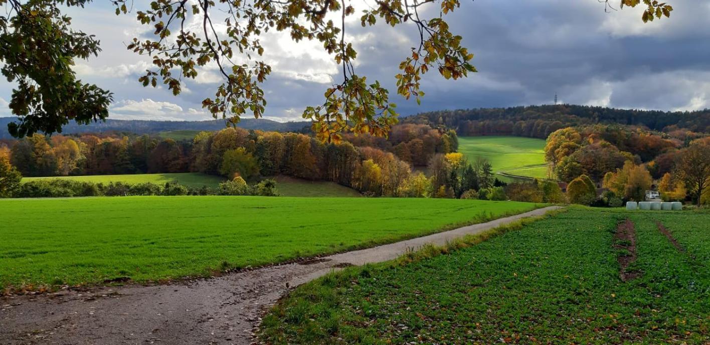 Odenwald-Lodge Mit Infrarotsauna Und E-Ladestation Im Naturpark Odenwald "Haus Himmelblau" Reichelsheim Ngoại thất bức ảnh